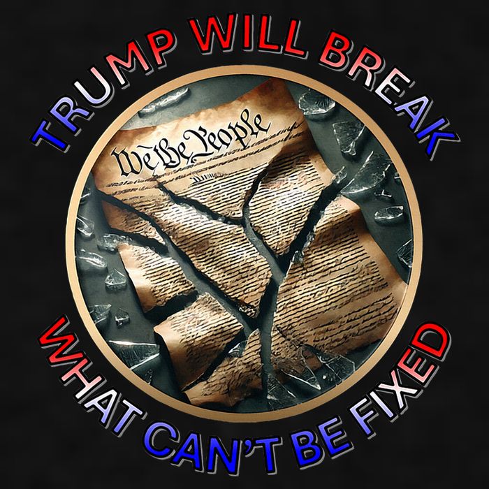 Trump Will Break What CanT Be Fixed Shattered Constitution Ladies PosiCharge Tri-Blend Wicking Tank