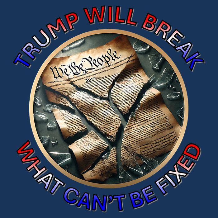 Trump Will Break What CanT Be Fixed Shattered Constitution Infant Baby Jersey Bodysuit