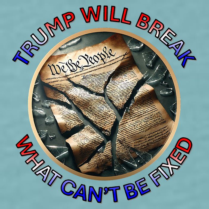 Trump Will Break What CanT Be Fixed Shattered Constitution Sueded Cloud Jersey T-Shirt
