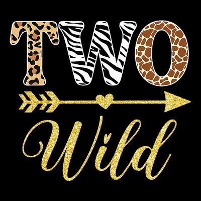 Two Wild Birthday Outfit Zoo Themed 2nd Birthday T-Shirt