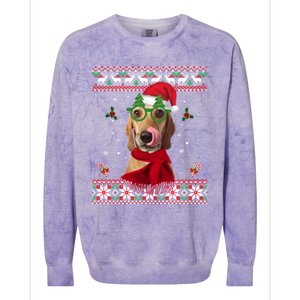 Treeing Walker Coonhound Dog Santa Hat Xmas Ugly Christmas Cute Gift Colorblast Crewneck Sweatshirt