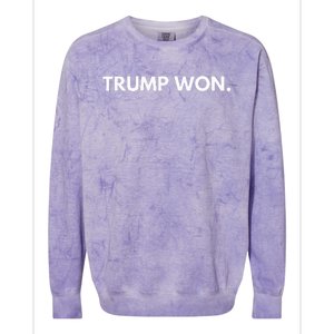 Trump Won Conservative Party Supporter Colorblast Crewneck Sweatshirt