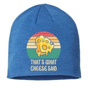 ThatS What Cheese Said Retro Wisconsin Cheese Pun Cute Gift Sustainable Beanie