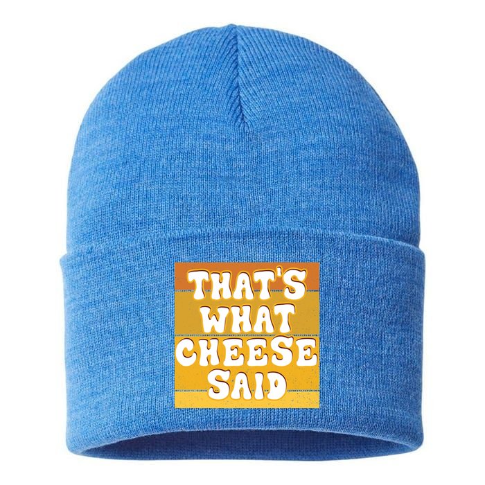 ThatS What Cheese Said Retro Wisconsin Cheese Pun Great Gift Sustainable Knit Beanie