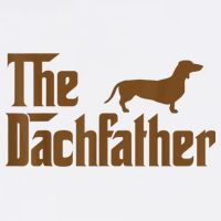 The Weiner Dog Father Funny Dachshund Wool Snapback Cap