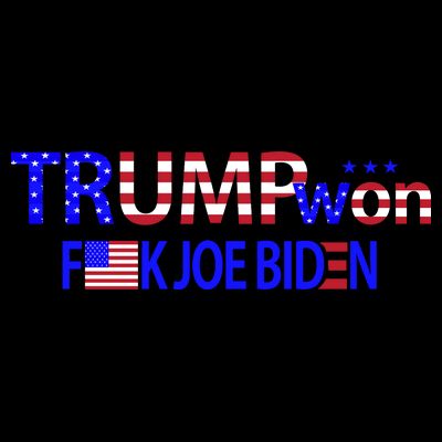 Trump Won F Joe Biden T-Shirt