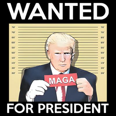 Trump Wanted For President T-Shirt