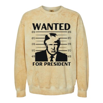 Trump Wanted For President Im Voting For Trump 2024 Colorblast Crewneck Sweatshirt