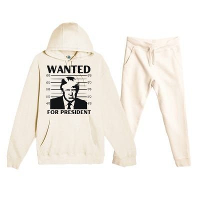 Trump Wanted For President Im Voting For Trump 2024 Premium Hooded Sweatsuit Set