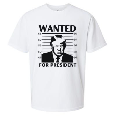 Trump Wanted For President Im Voting For Trump 2024 Sueded Cloud Jersey T-Shirt