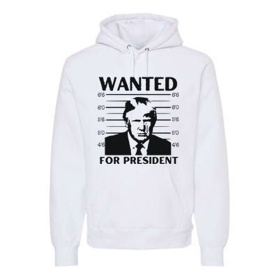 Trump Wanted For President Im Voting For Trump 2024 Premium Hoodie