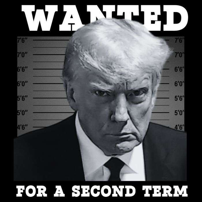 Trump Wanted For A Second Term Bag