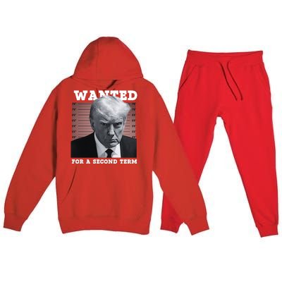 Trump Wanted For A Second Term Premium Hooded Sweatsuit Set