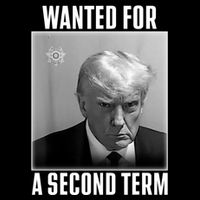 Trump Wanted For A Second Term Impact Tech Backpack