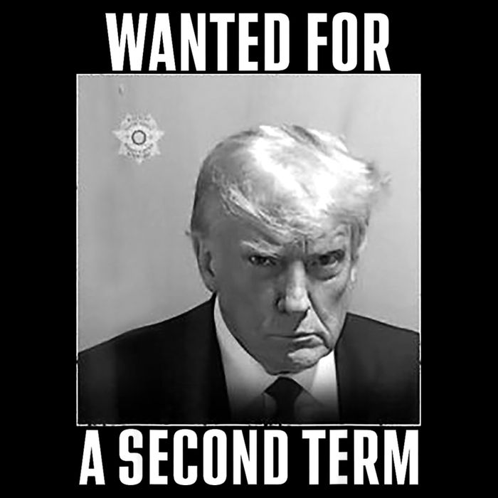 Trump Wanted For A Second Term Flexfit Unipanel Trucker Cap