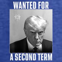 Trump Wanted For A Second Term T-Shirt