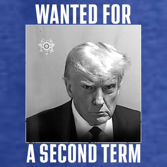 Trump Wanted For A Second Term T-Shirt