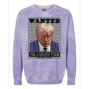 Trump Wanted For A Second Term Colorblast Crewneck Sweatshirt