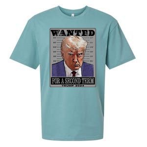 Trump Wanted For A Second Term Sueded Cloud Jersey T-Shirt