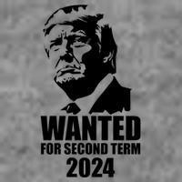 Trump Wanted For Second Term Toddler Hoodie