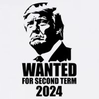 Trump Wanted For Second Term Visor