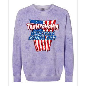 Trumpamania Whatcha Gonna Do Trump 2024 Election Vote Usa Colorblast Crewneck Sweatshirt