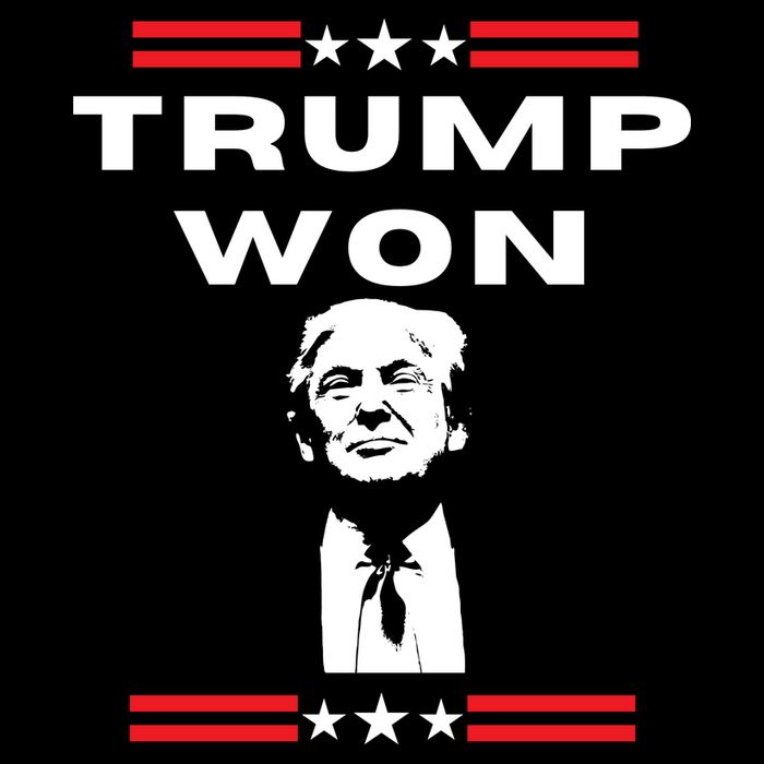 Trump Won, He'll Be Back, Ready To Beat Them A 3rd Time Flexfit Unipanel Trucker Cap