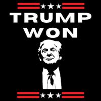 Trump Won, He'll Be Back, Ready To Beat Them A 3rd Time Cropped Pullover Crew