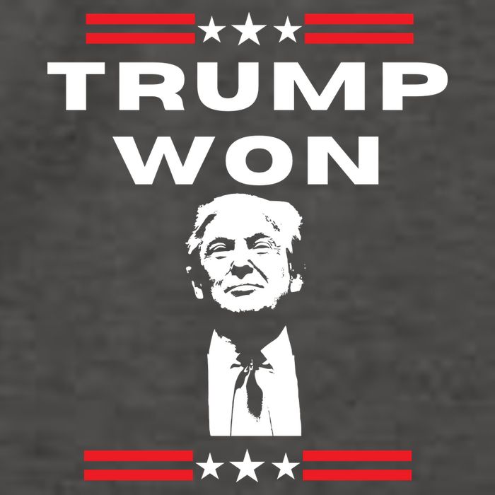 Trump Won, He'll Be Back, Ready To Beat Them A 3rd Time Vector Backpack