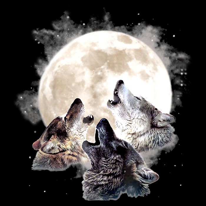 Three Wolves Howling At The Moon Wolf Lover Impact Tech Backpack