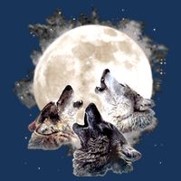 Three Wolves Howling At The Moon Wolf Lover Drawstring Bag