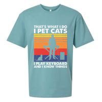 ThatS What I Do I Pet Cats I Play Keyboard & I Know Things Sueded Cloud Jersey T-Shirt