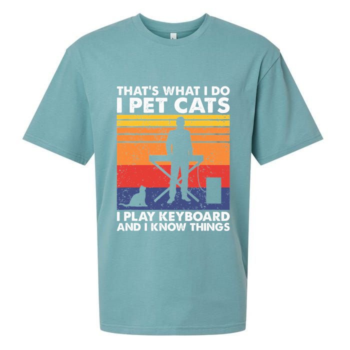 ThatS What I Do I Pet Cats I Play Keyboard & I Know Things Sueded Cloud Jersey T-Shirt