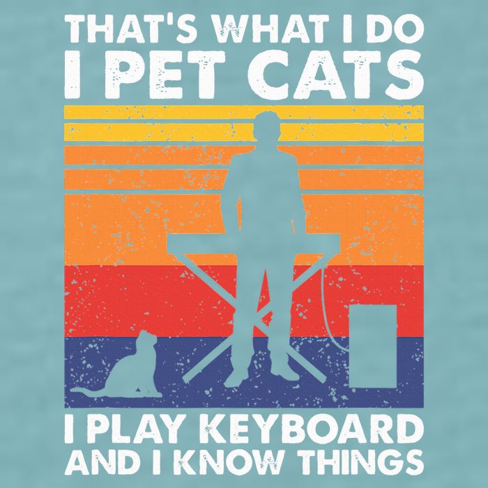 ThatS What I Do I Pet Cats I Play Keyboard & I Know Things Sueded Cloud Jersey T-Shirt