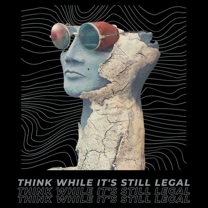 Think While It's Still Legal Anti Woke Cancel Culture 7-Panel Snapback Hat