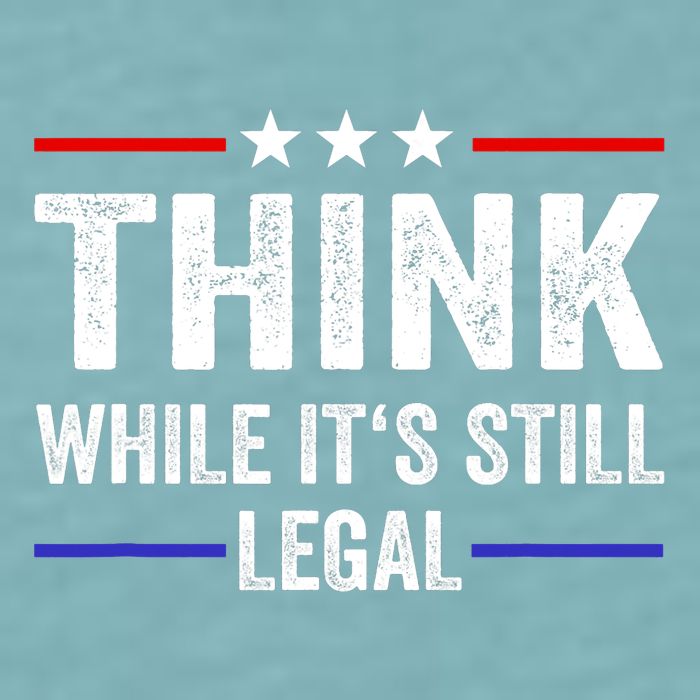 Think While Its Still Legal Think While Its Still Legal Sueded Cloud Jersey T-Shirt
