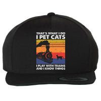 ThatS What I Do I Pet Cats I Play With Trains Model Train Wool Snapback Cap