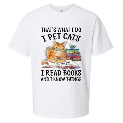 That's What I Do I Pet Cats I Read Books And I Know Things Sueded Cloud Jersey T-Shirt