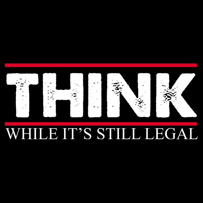 Think While It's Still Legal Distressed Flatbill Hat