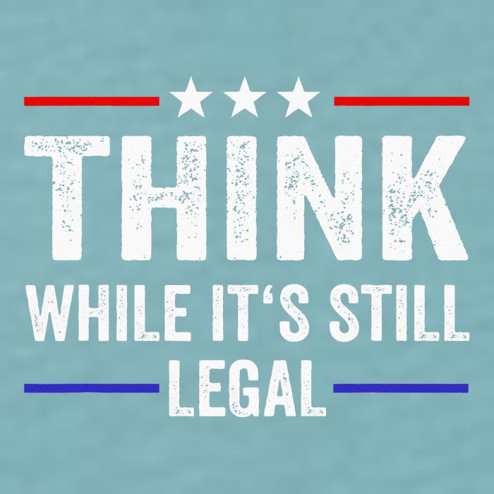 Think While Its Still Legal Think While Its Still Legal Sueded Cloud Jersey T-Shirt