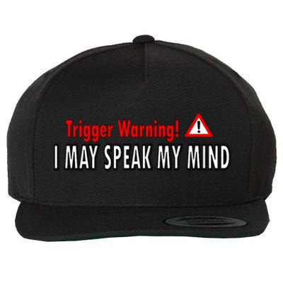 Trigger Warning I May Speak My Mind Gift Wool Snapback Cap