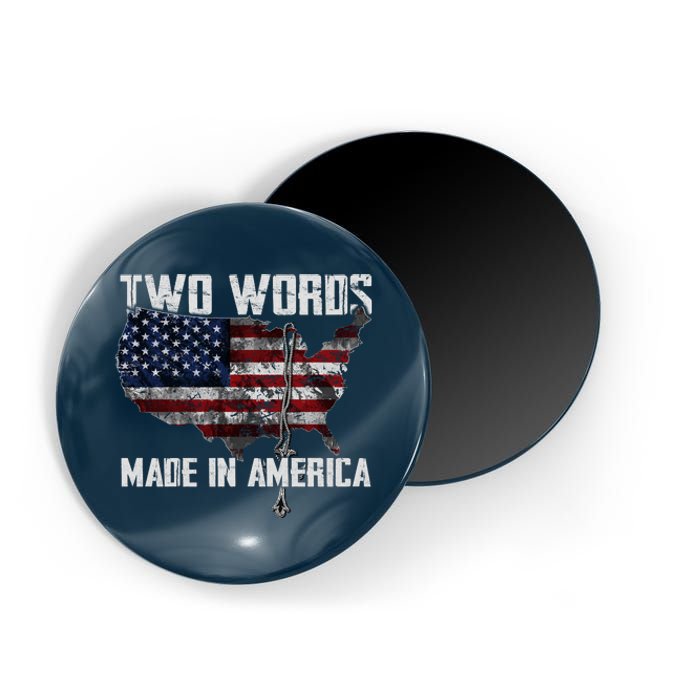 Two Words Made In America Joe Biden Vintage American US Flag Magnet