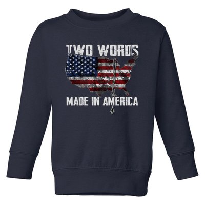 Two Words Made In America Joe Biden Vintage American US Flag Toddler Sweatshirt