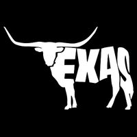 Texas Word Mashup Longhorn Baby Bodysuit