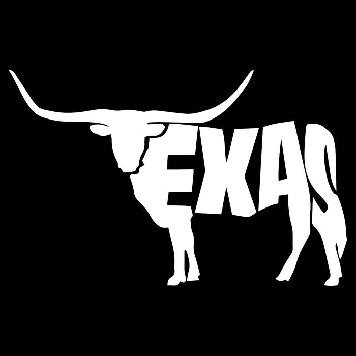 Texas Word Mashup Longhorn Baby Bodysuit