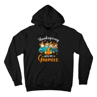 Thanksgiving With My Gnomies Funny Season Gnomes Lover Hoodie