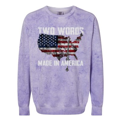 Two Words Made In America Joe Biden Vintage American US Flag Colorblast Crewneck Sweatshirt