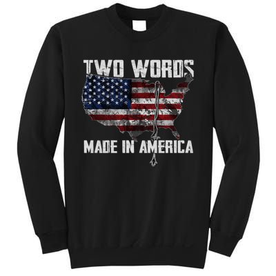 Two Words Made In America Joe Biden Vintage American US Flag Sweatshirt