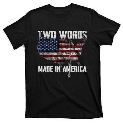 Two Words Made In America Joe Biden Vintage American US Flag T-Shirt