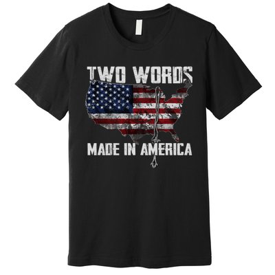 Two Words Made In America Joe Biden Vintage American US Flag Premium T-Shirt